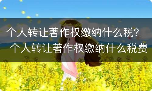 个人转让著作权缴纳什么税？ 个人转让著作权缴纳什么税费