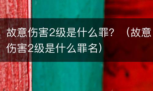 故意伤害2级是什么罪？（故意伤害2级是什么罪名）