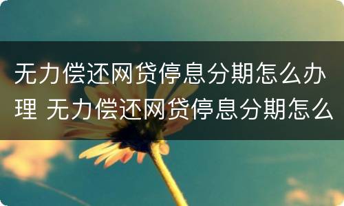 无力偿还网贷停息分期怎么办理 无力偿还网贷停息分期怎么办理还款