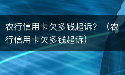 农行信用卡欠多钱起诉？（农行信用卡欠多钱起诉）