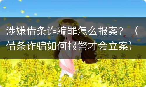 涉嫌借条诈骗罪怎么报案？（借条诈骗如何报警才会立案）
