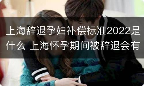 上海辞退孕妇补偿标准2022是什么 上海怀孕期间被辞退会有什么样的补偿