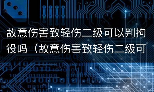 故意伤害致轻伤二级可以判拘役吗（故意伤害致轻伤二级可以判拘役吗）