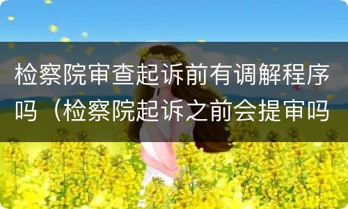 检察院审查起诉前有调解程序吗（检察院起诉之前会提审吗）