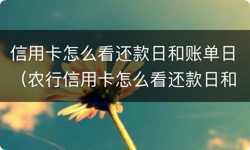 信用卡怎么看还款日和账单日（农行信用卡怎么看还款日和账单日）
