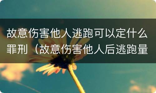 故意伤害他人逃跑可以定什么罪刑（故意伤害他人后逃跑量刑）