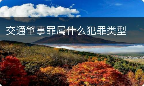 交通肇事罪属什么犯罪类型