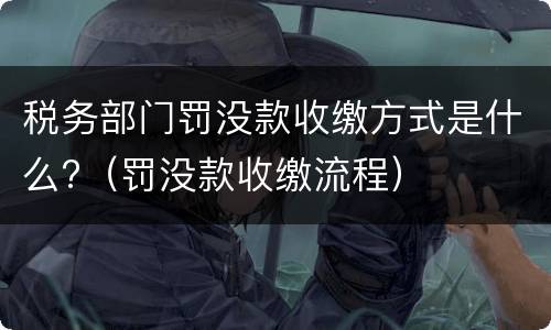 税务部门罚没款收缴方式是什么?（罚没款收缴流程）