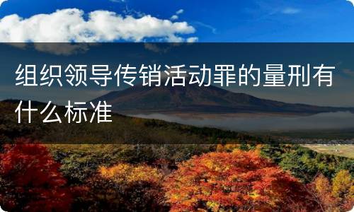 组织领导传销活动罪的量刑有什么标准