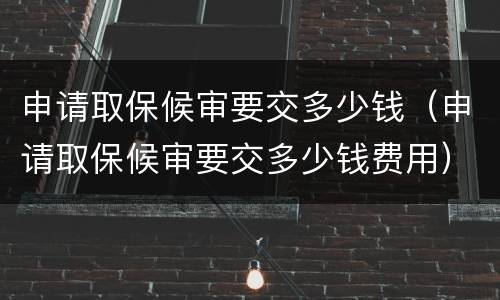 申请取保候审要交多少钱（申请取保候审要交多少钱费用）