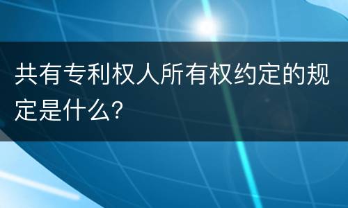 共有专利权人所有权约定的规定是什么？