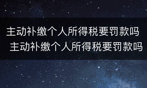 主动补缴个人所得税要罚款吗 主动补缴个人所得税要罚款吗多少