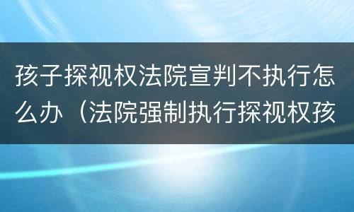 孩子探视权法院宣判不执行怎么办（法院强制执行探视权孩子不肯怎么办）