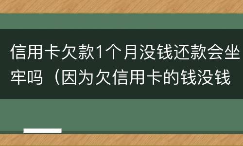 信用卡欠款1个月没钱还款会坐牢吗（因为欠信用卡的钱没钱还会坐牢多久）