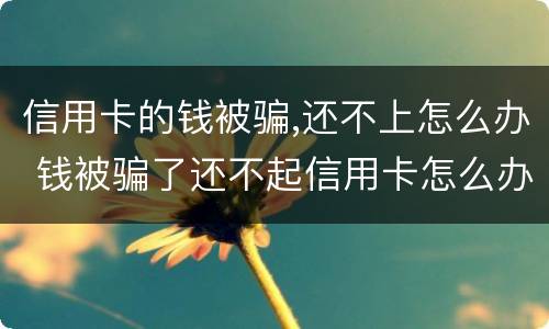 信用卡的钱被骗,还不上怎么办 钱被骗了还不起信用卡怎么办