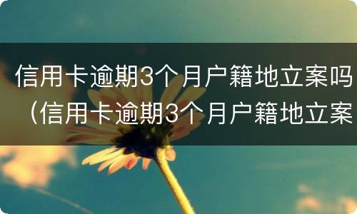 信用卡逾期3个月户籍地立案吗（信用卡逾期3个月户籍地立案吗）