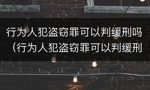 行为人犯盗窃罪可以判缓刑吗（行为人犯盗窃罪可以判缓刑吗知乎）