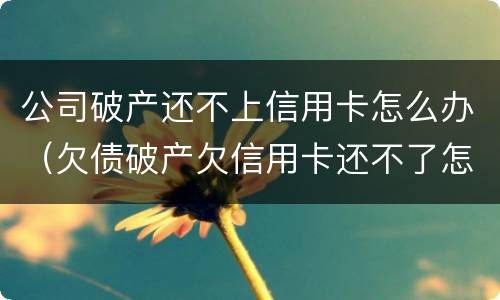 公司破产还不上信用卡怎么办（欠债破产欠信用卡还不了怎么办）