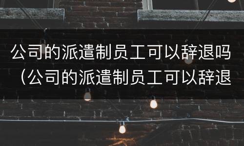 公司的派遣制员工可以辞退吗（公司的派遣制员工可以辞退吗知乎）