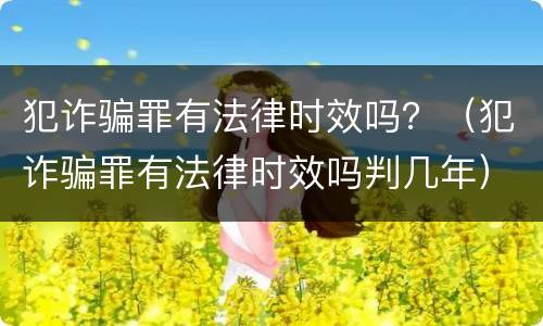 犯诈骗罪有法律时效吗？（犯诈骗罪有法律时效吗判几年）
