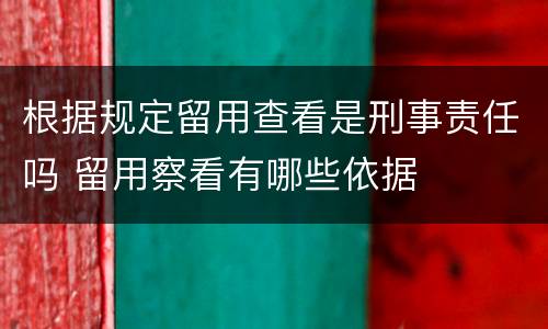 根据规定留用查看是刑事责任吗 留用察看有哪些依据