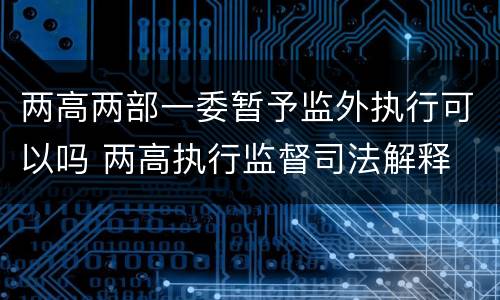 两高两部一委暂予监外执行可以吗 两高执行监督司法解释