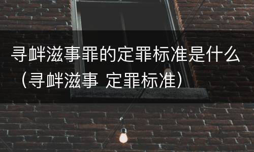 寻衅滋事罪的定罪标准是什么（寻衅滋事 定罪标准）