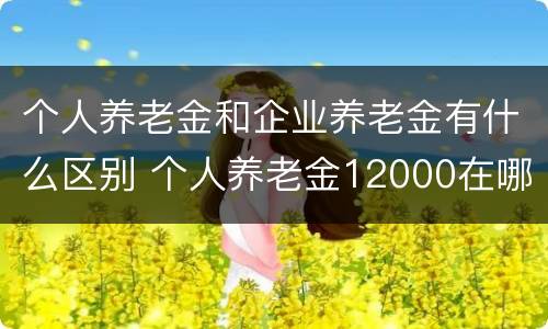 个人养老金和企业养老金有什么区别 个人养老金12000在哪交