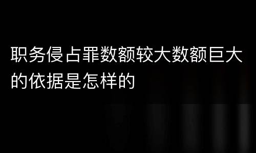 职务侵占罪数额较大数额巨大的依据是怎样的