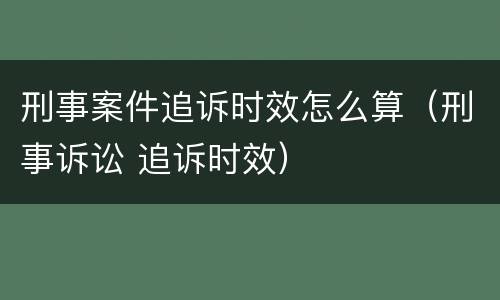刑事案件追诉时效怎么算（刑事诉讼 追诉时效）