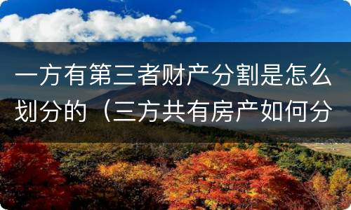 一方有第三者财产分割是怎么划分的（三方共有房产如何分割）