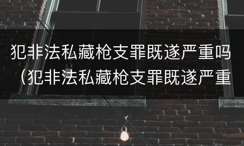 犯非法私藏枪支罪既遂严重吗（犯非法私藏枪支罪既遂严重吗判几年）