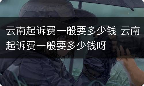 云南起诉费一般要多少钱 云南起诉费一般要多少钱呀