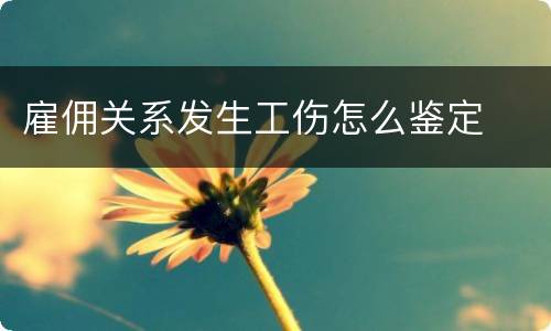 雇佣关系发生工伤怎么鉴定