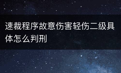 速裁程序故意伤害轻伤二级具体怎么判刑