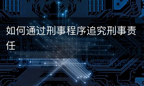 如何通过刑事程序追究刑事责任