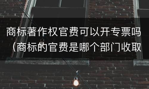 商标著作权官费可以开专票吗（商标的官费是哪个部门收取）