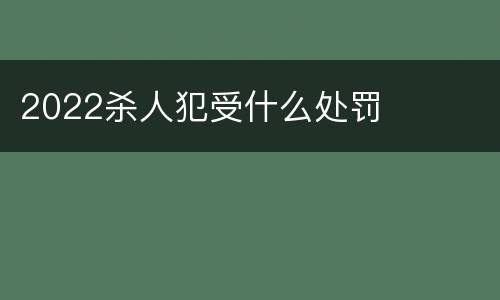 2022杀人犯受什么处罚
