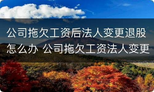 公司拖欠工资后法人变更退股怎么办 公司拖欠工资法人变更了怎么办