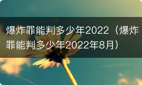 爆炸罪能判多少年2022（爆炸罪能判多少年2022年8月）