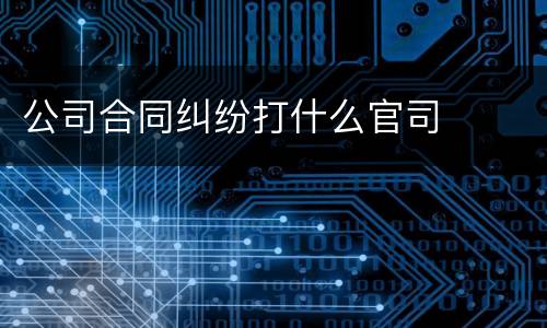 公司合同纠纷打什么官司