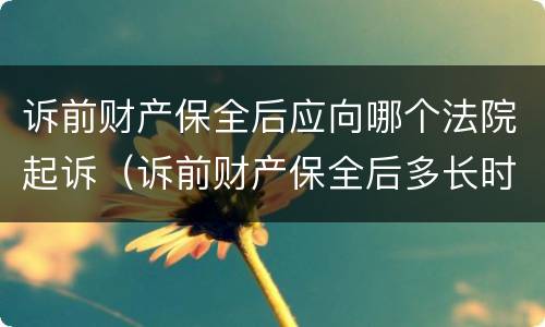 诉前财产保全后应向哪个法院起诉（诉前财产保全后多长时间起诉）