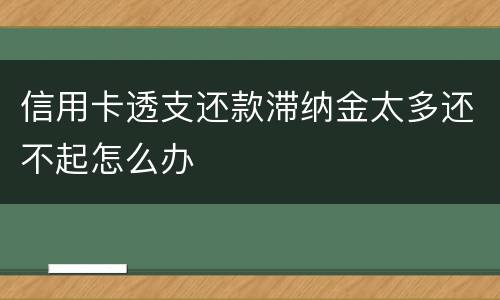 信用卡透支还款滞纳金太多还不起怎么办