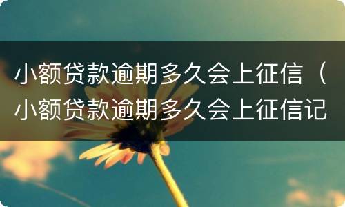 小额贷款逾期多久会上征信（小额贷款逾期多久会上征信记录）