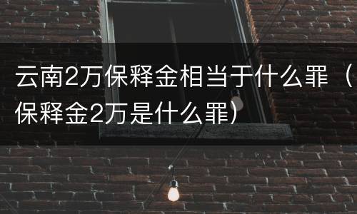 云南2万保释金相当于什么罪（保释金2万是什么罪）