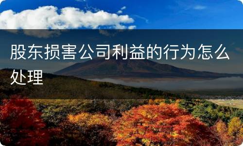 股东损害公司利益的行为怎么处理