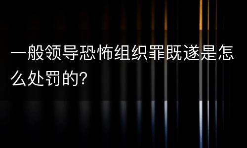 一般领导恐怖组织罪既遂是怎么处罚的？
