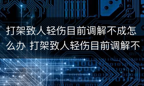 打架致人轻伤目前调解不成怎么办 打架致人轻伤目前调解不成怎么办呀