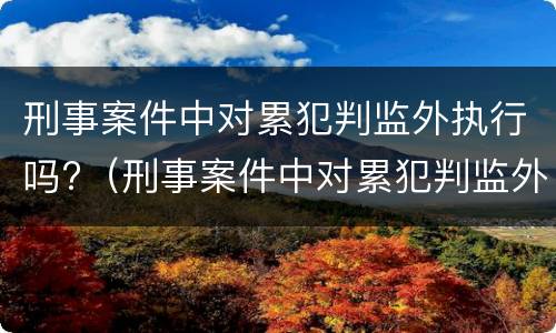 刑事案件中对累犯判监外执行吗?（刑事案件中对累犯判监外执行吗怎么办）