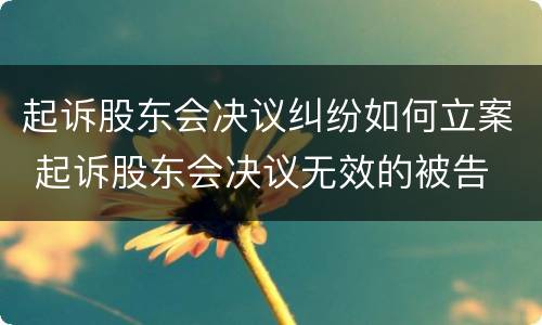 起诉股东会决议纠纷如何立案 起诉股东会决议无效的被告